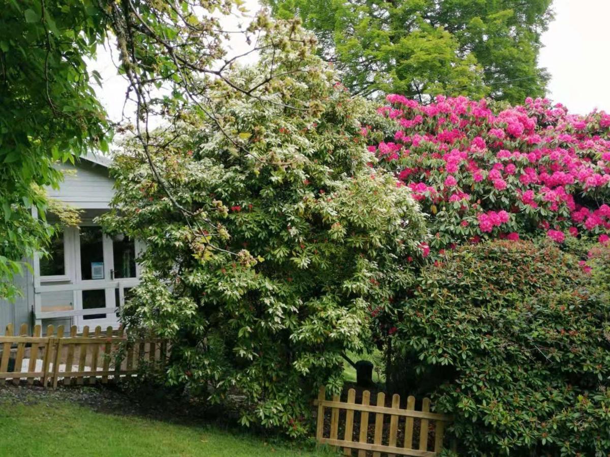ホークスヘッド Treeside Woodhouseヴィラ エクステリア 写真