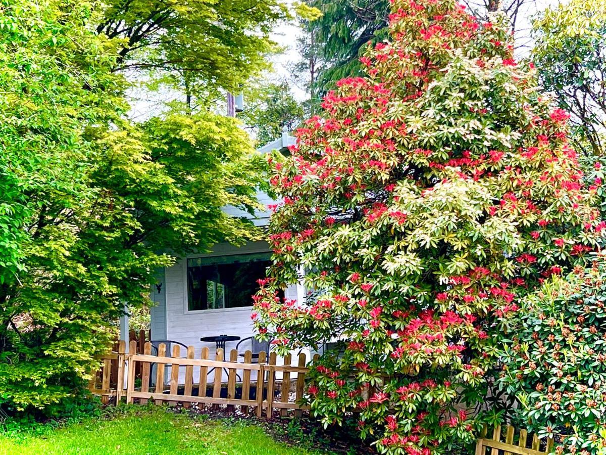 ホークスヘッド Treeside Woodhouseヴィラ エクステリア 写真