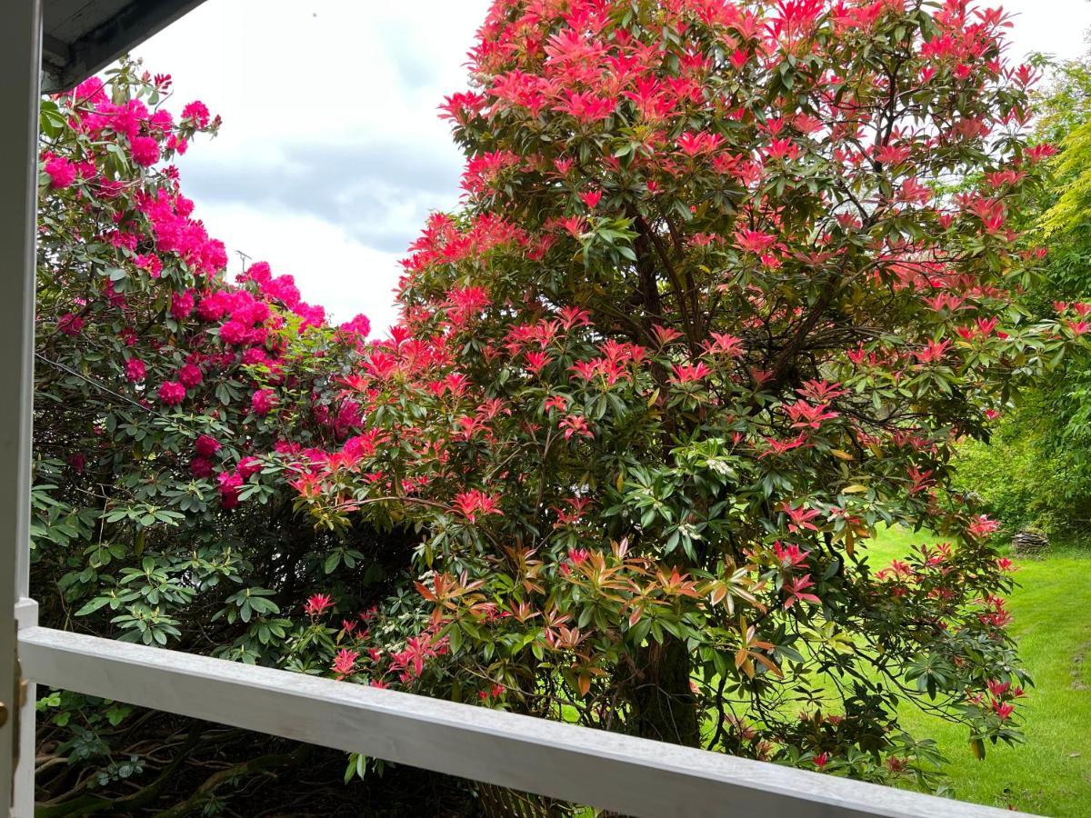 ホークスヘッド Treeside Woodhouseヴィラ エクステリア 写真
